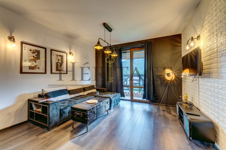 Luxury 1-bedroom apartment in the heart of the Rhodopes